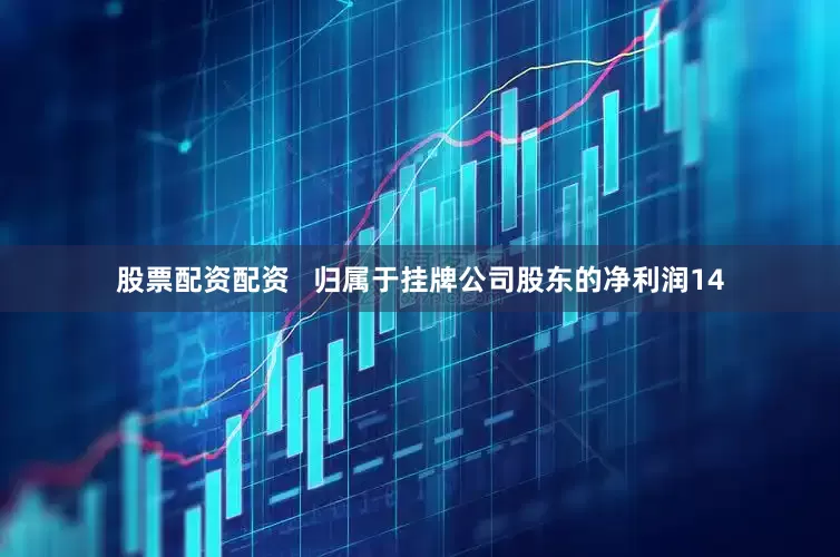 股票配资配资   归属于挂牌公司股东的净利润14