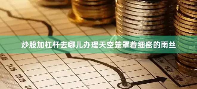 炒股加杠杆去哪儿办理天空笼罩着细密的雨丝