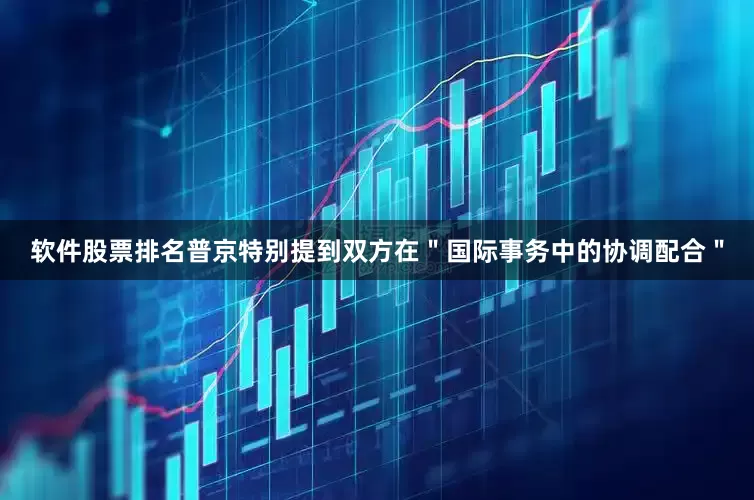 软件股票排名普京特别提到双方在＂国际事务中的协调配合＂