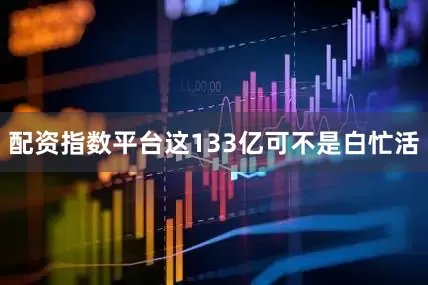 配资指数平台这133亿可不是白忙活
